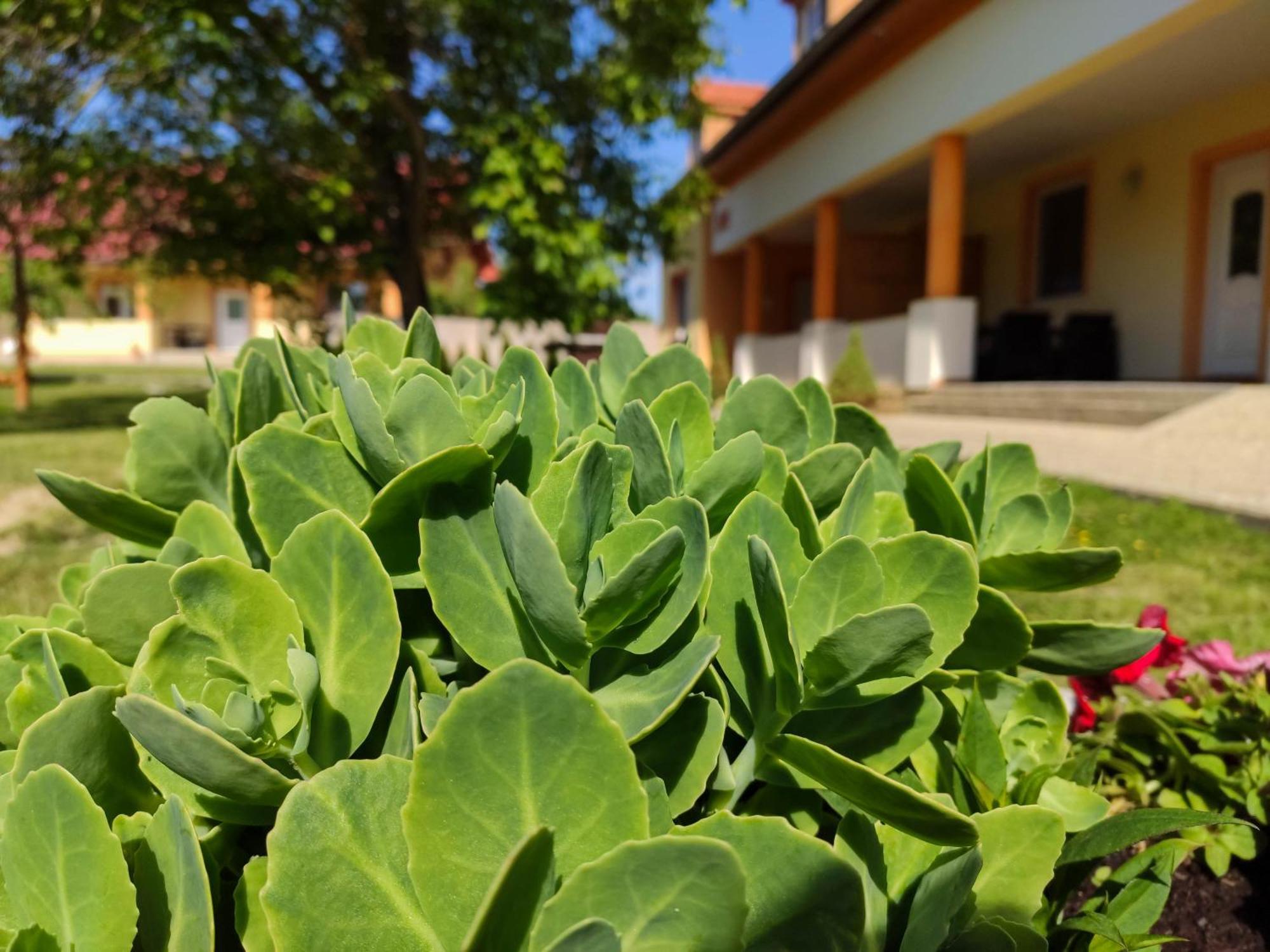 Ubytovanie Liska Radava Luaran gambar